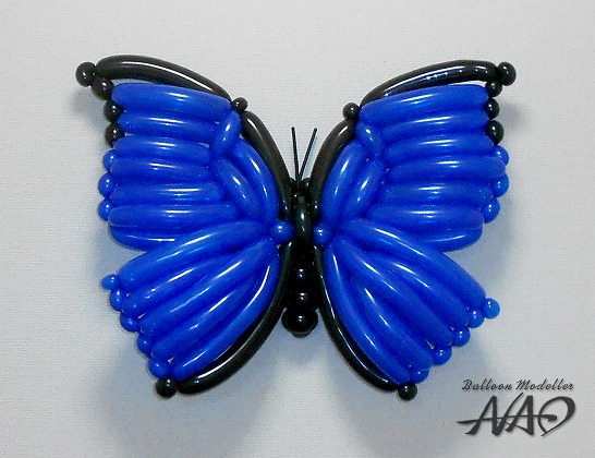 Morpho Butterfly