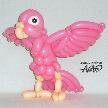 Pink Parakeet