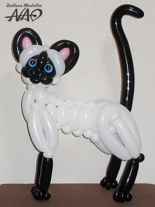 Siamese Cat